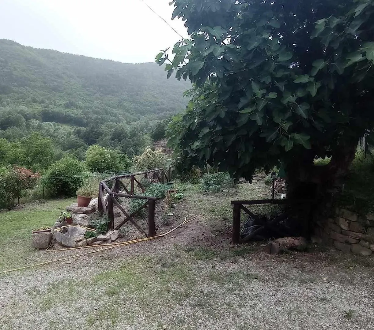 La Casa Di Piero Apartment Valsavignone